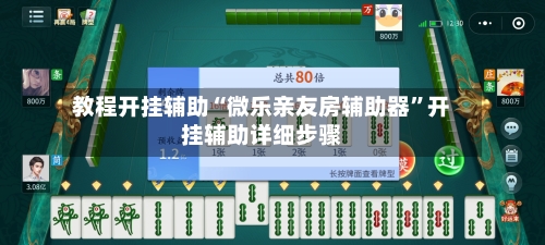 教程开挂辅助“微乐亲友房辅助器”开挂辅助详细步骤-第2张图片