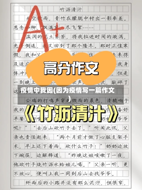 疫情中我因(因为疫情写一篇作文)