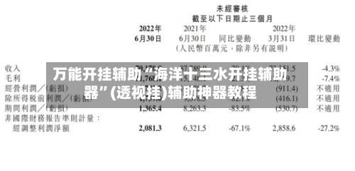 万能开挂辅助“海洋十三水开挂辅助器”(透视挂)辅助神器教程-第2张图片