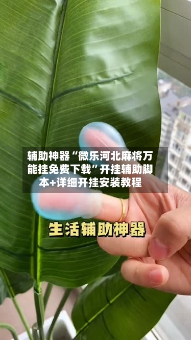 辅助神器“微乐河北麻将万能挂免费下载	”开挂辅助脚本+详细开挂安装教程-第2张图片