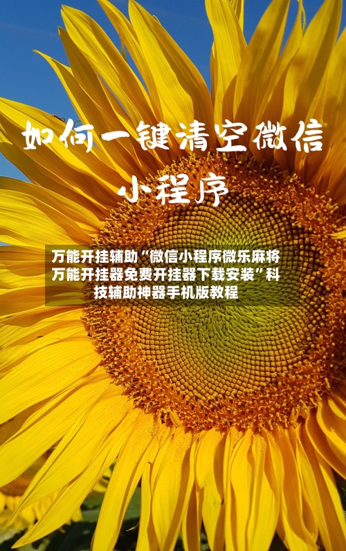 万能开挂辅助“微信小程序微乐麻将万能开挂器免费开挂器下载安装	”科技辅助神器手机版教程-第2张图片