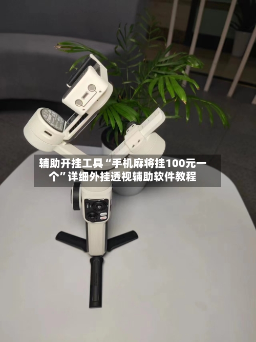 辅助开挂工具“手机麻将挂100元一个”详细外挂透视辅助软件教程-第2张图片