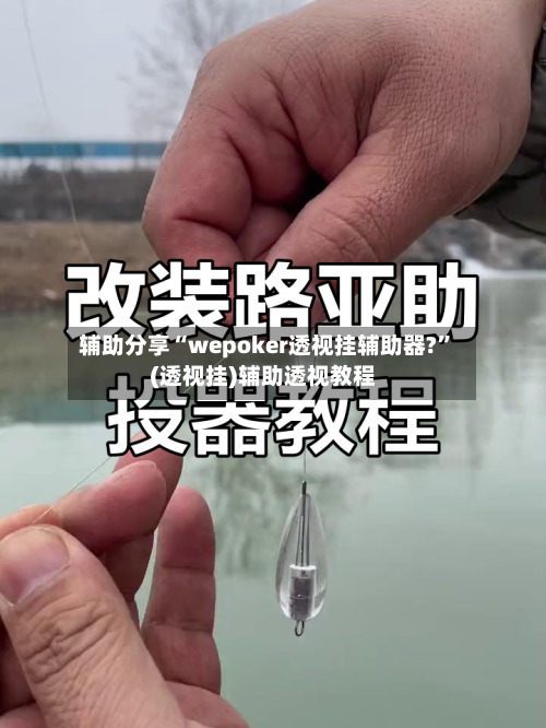 辅助分享“wepoker透视挂辅助器?	”(透视挂)辅助透视教程-第2张图片