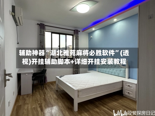 辅助神器“湖北雅苑麻将必胜软件”(透视)开挂辅助脚本+详细开挂安装教程-第3张图片