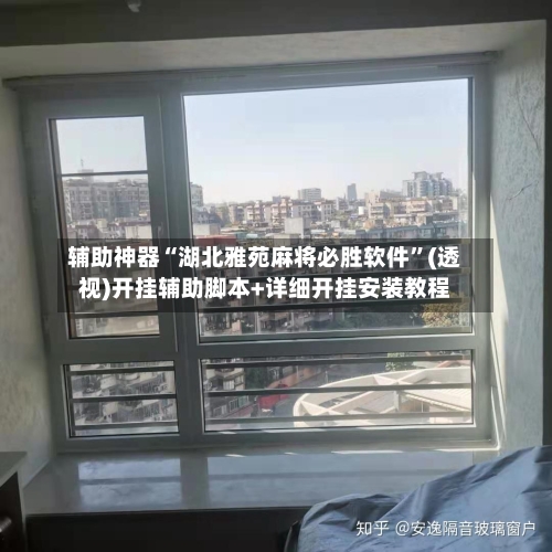 辅助神器“湖北雅苑麻将必胜软件”(透视)开挂辅助脚本+详细开挂安装教程-第2张图片