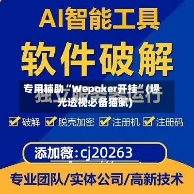 专用辅助“Wepoker开挂	”(曝光透视必备猫腻)-第2张图片