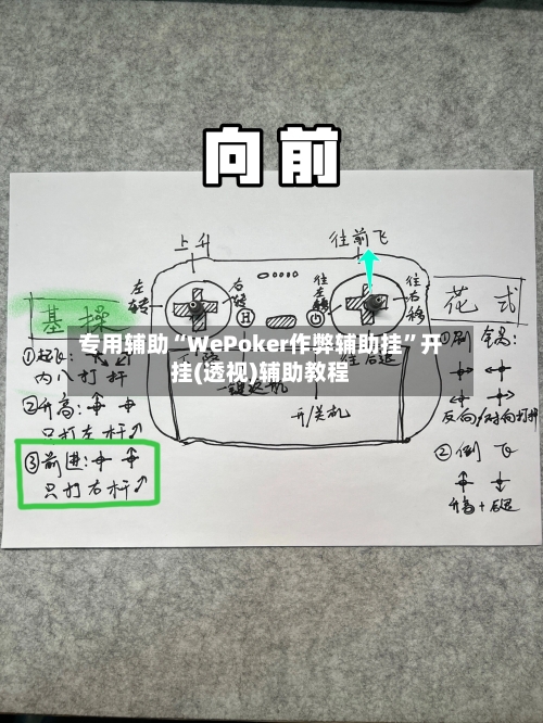 专用辅助“WePoker作弊辅助挂”开挂(透视)辅助教程-第3张图片