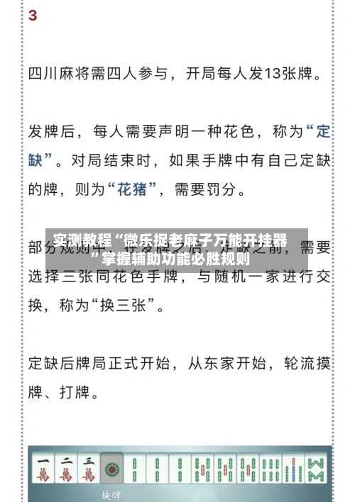 实测教程“微乐捉老麻子万能开挂器	”掌握辅助功能必胜规则-第2张图片