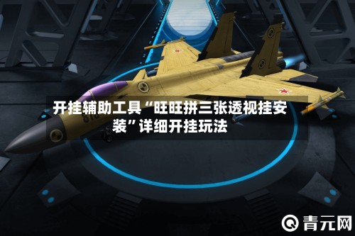 开挂辅助工具“旺旺拼三张透视挂安装”详细开挂玩法-第3张图片