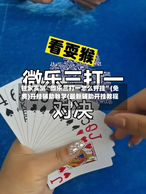 独家实测“微乐三打一怎么开挂”(免费)开挂辅助教学(最新辅助开挂教程)-第2张图片