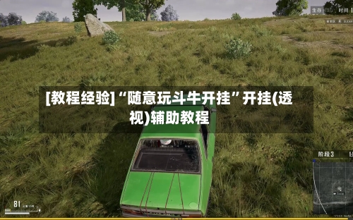 [教程经验]“随意玩斗牛开挂”开挂(透视)辅助教程-第2张图片