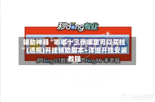 辅助神器“嘟嘟十三张哪里可以买挂”(透视)开挂辅助脚本+详细开挂安装教程-第2张图片