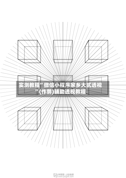 实测教程”微信小程序家乡大贰透视	”(作弊)辅助透视教程-第2张图片