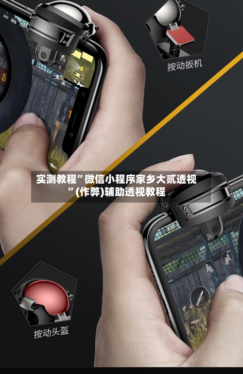 实测教程”微信小程序家乡大贰透视”(作弊)辅助透视教程-第3张图片