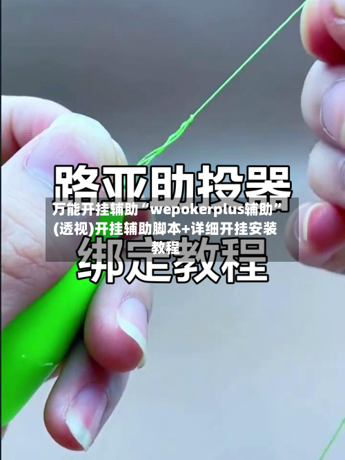 万能开挂辅助“wepokerplus辅助	”(透视)开挂辅助脚本+详细开挂安装教程-第2张图片