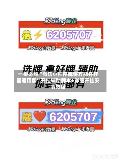 一键必胜“微乐小程序麻将万能开挂器通用版”开挂辅助脚本+详细开挂安装教程-第2张图片