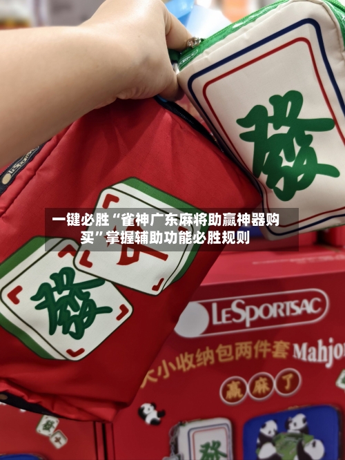 一键必胜“雀神广东麻将助赢神器购买”掌握辅助功能必胜规则-第3张图片