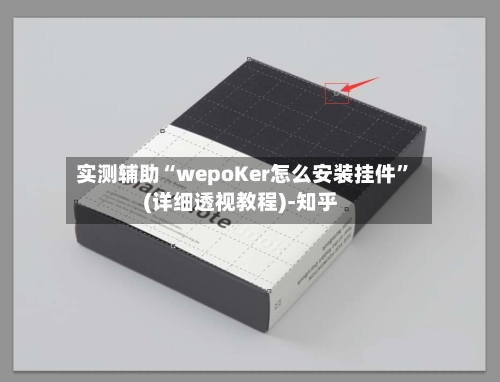 实测辅助“wepoKer怎么安装挂件	”(详细透视教程)-知乎-第2张图片