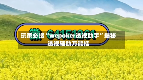 玩家必搜“wepoker透视助手	”揭秘透视辅助万能挂-第2张图片