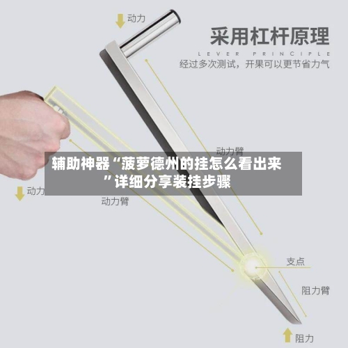 辅助神器“菠萝德州的挂怎么看出来”详细分享装挂步骤-第3张图片