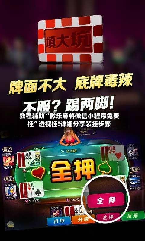 教程辅助“微乐麻将微信小程序免费挂”透视挂!详细分享装挂步骤-第3张图片