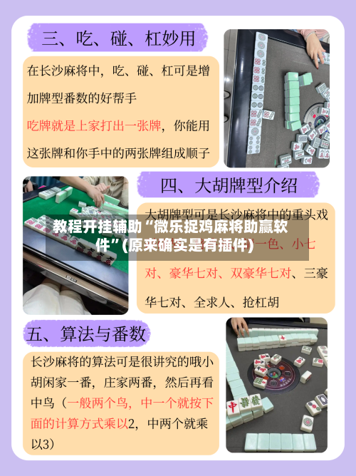 教程开挂辅助“微乐捉鸡麻将助赢软件”(原来确实是有插件)-第2张图片