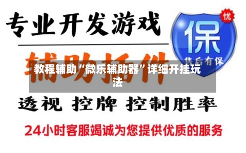 教程辅助“微乐辅助器	”详细开挂玩法-第2张图片