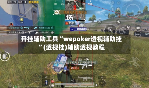 开挂辅助工具“wepoker透视辅助挂”(透视挂)辅助透视教程-第2张图片