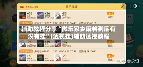 辅助教程分享“微乐家乡麻将到底有没有挂”(透视挂)辅助透视教程-第2张图片