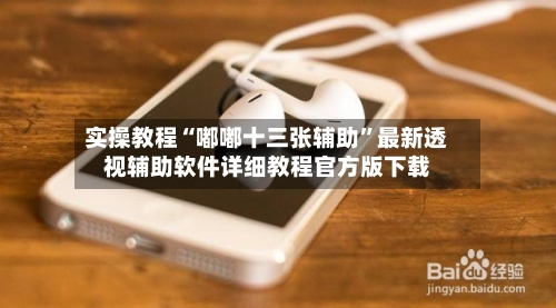 实操教程“嘟嘟十三张辅助”最新透视辅助软件详细教程官方版下载-第3张图片
