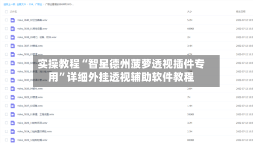 实操教程“智星德州菠萝透视插件专用”详细外挂透视辅助软件教程-第3张图片