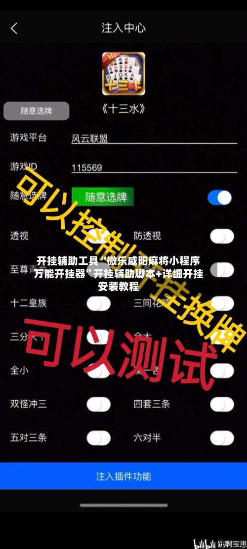 开挂辅助工具“微乐咸阳麻将小程序万能开挂器”开挂辅助脚本+详细开挂安装教程-第2张图片