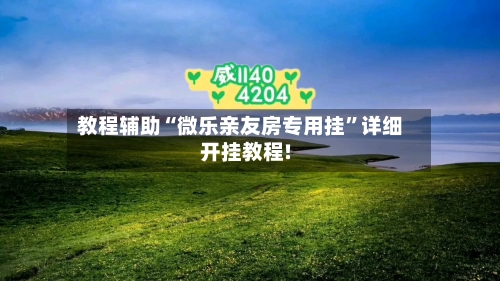 教程辅助“微乐亲友房专用挂”详细开挂教程!-第2张图片