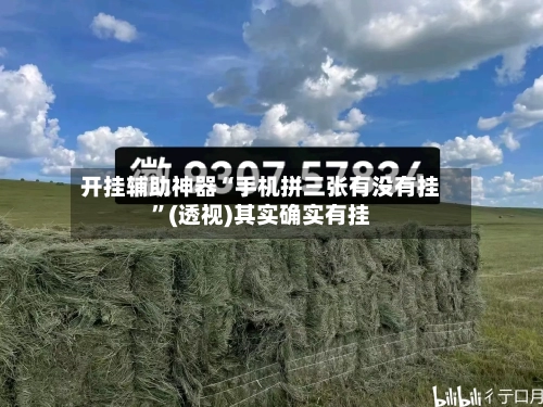 开挂辅助神器“手机拼三张有没有挂	”(透视)其实确实有挂-第2张图片