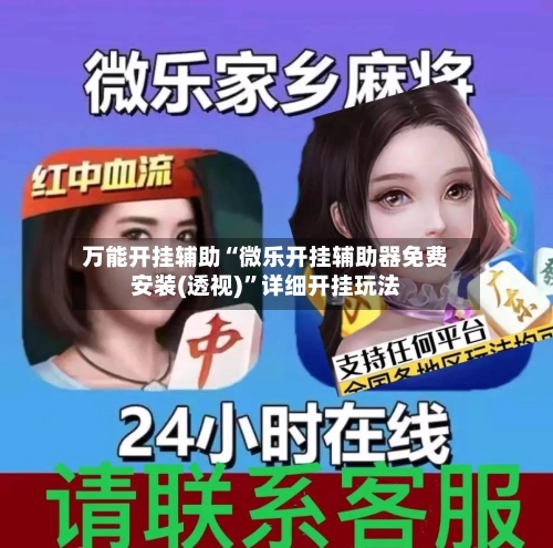 万能开挂辅助“微乐开挂辅助器免费安装(透视)”详细开挂玩法-第2张图片
