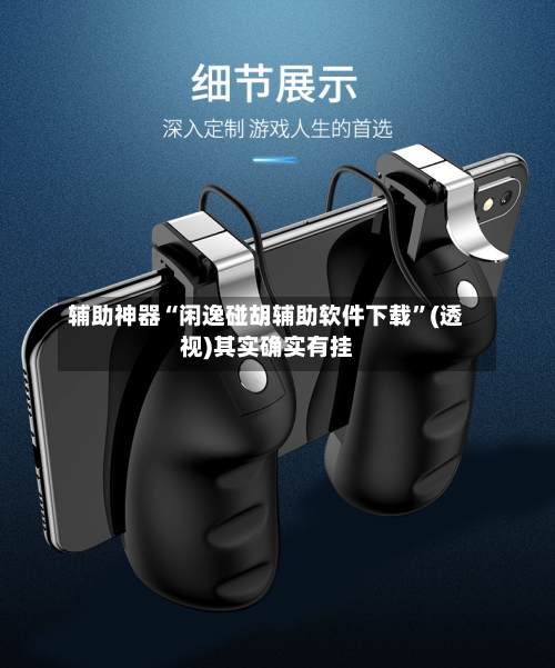 辅助神器“闲逸碰胡辅助软件下载	”(透视)其实确实有挂-第2张图片