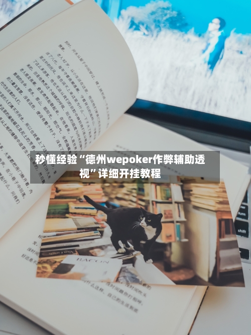 秒懂经验“德州wepoker作弊辅助透视”详细开挂教程-第3张图片