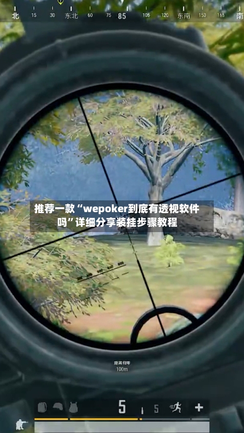 推荐一款“wepoker到底有透视软件吗”详细分享装挂步骤教程-第3张图片