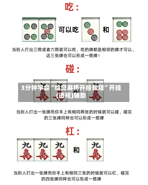 3分钟学会“哈灵麻将开挂教程”开挂(透视)辅助-第3张图片