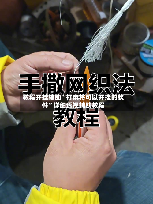 教程开挂辅助“打麻将可以开挂的软件”详细透视辅助教程-第3张图片