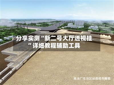 分享实测“新二号大厅透视挂	”详细教程辅助工具-第2张图片
