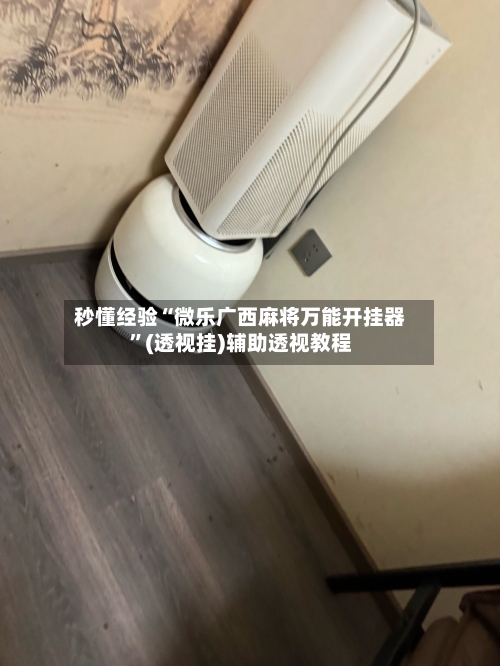 秒懂经验“微乐广西麻将万能开挂器”(透视挂)辅助透视教程-第2张图片
