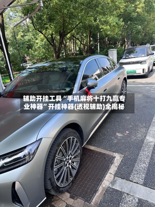 辅助开挂工具“手机麻将十打九赢专业神器”开挂神器{透视辅助}全揭秘-第3张图片