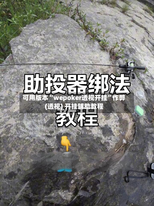 可用版本“wepoker透视开挂”作弊(透视) 开挂辅助教程-第3张图片