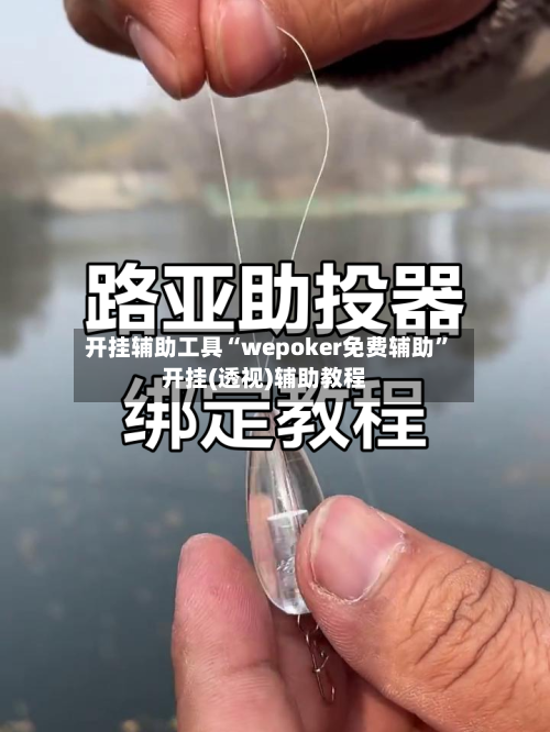 开挂辅助工具“wepoker免费辅助	”开挂(透视)辅助教程-第2张图片
