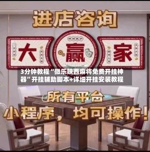 3分钟教程“微乐陕西麻将免费开挂神器	”开挂辅助脚本+详细开挂安装教程-第2张图片