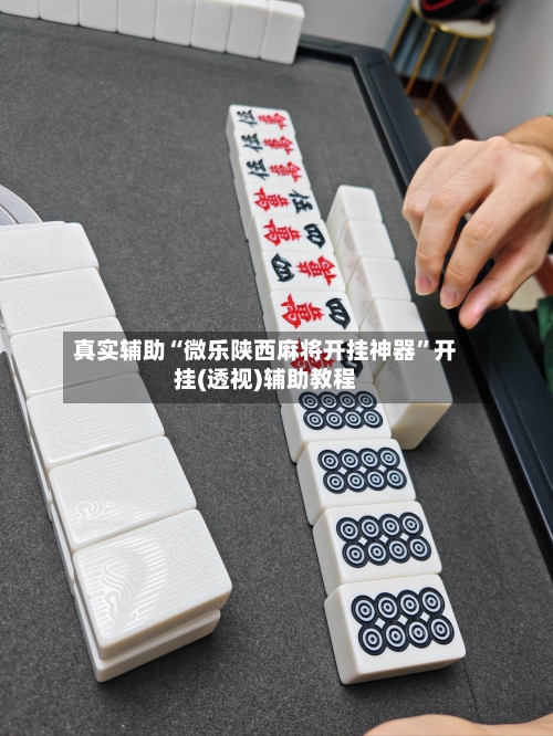 真实辅助“微乐陕西麻将开挂神器”开挂(透视)辅助教程-第3张图片