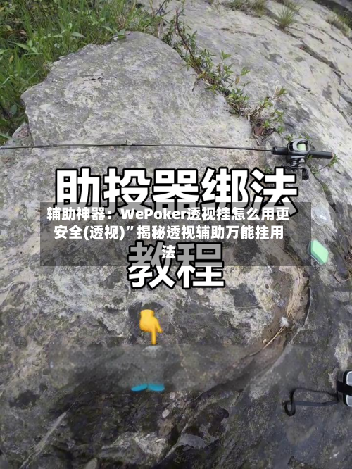 辅助神器：WePoker透视挂怎么用更安全(透视)	”揭秘透视辅助万能挂用法-第2张图片