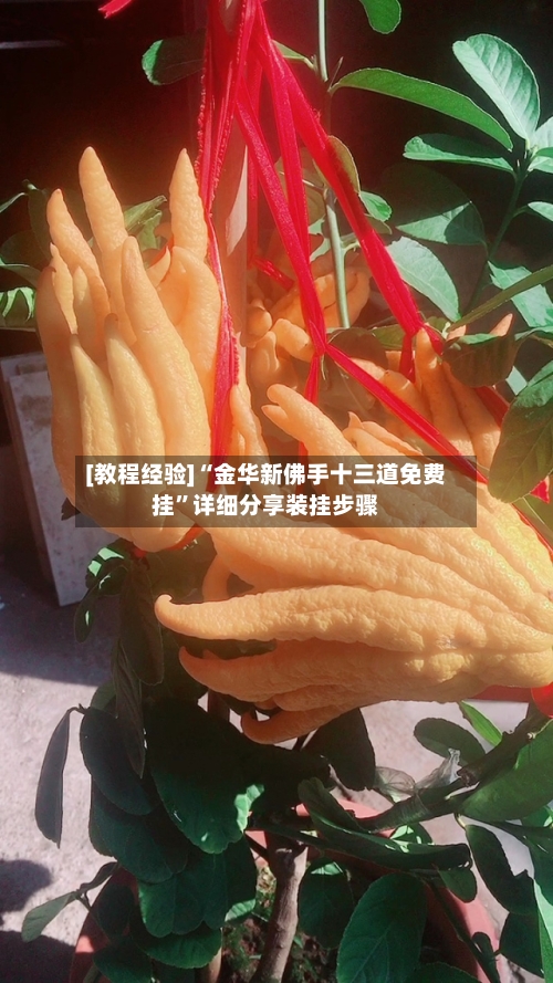 [教程经验]“金华新佛手十三道免费挂”详细分享装挂步骤-第3张图片