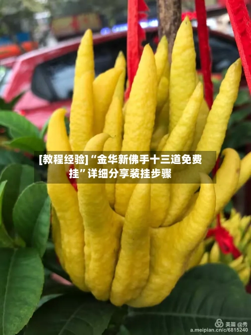 [教程经验]“金华新佛手十三道免费挂”详细分享装挂步骤-第2张图片